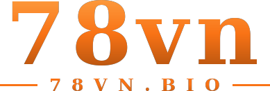 78vn logo